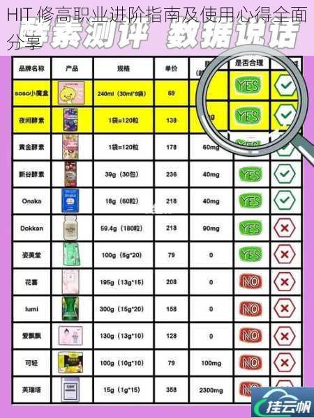 HIT 修高职业进阶指南及使用心得全面分享