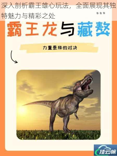 深入剖析霸王雄心玩法,全面展现其独特魅力与精彩之处