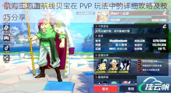 航海王热血航线贝宝在 PVP 玩法中的详细攻略及技巧分享