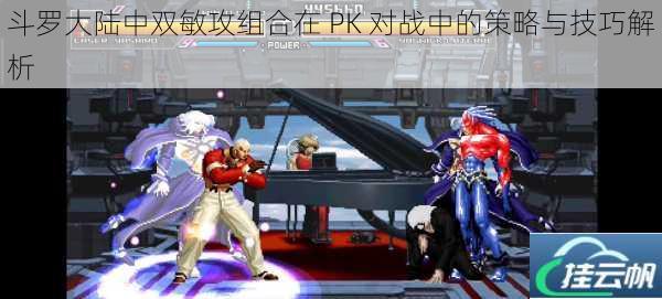 斗罗大陆中双敏攻组合在 PK 对战中的策略与技巧解析
