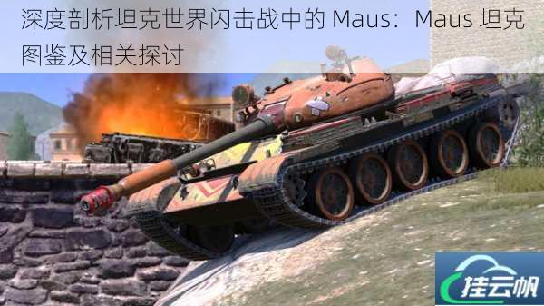 深度剖析坦克世界闪击战中的 Maus:Maus 坦克图鉴及相关探讨