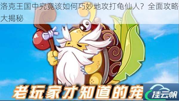 洛克王国中究竟该如何巧妙地攻打龟仙人？全面攻略大揭秘