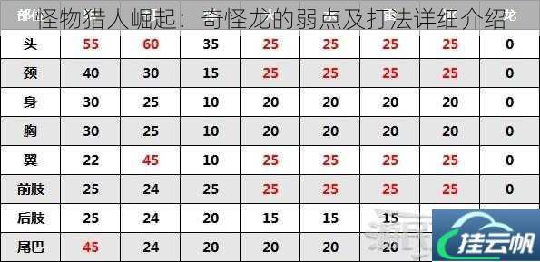 怪物猎人崛起:奇怪龙的弱点及打法详细介绍