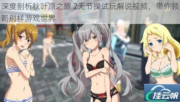 深度剖析秋叶原之旅 2无节操试玩解说视频,带你领略别样游戏世界
