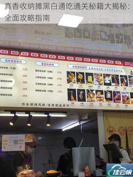 真香收纳摊黑白通吃通关秘籍大揭秘:全面攻略指南
