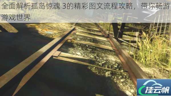 全面解析孤岛惊魂 3的精彩图文流程攻略,带你畅游游戏世界