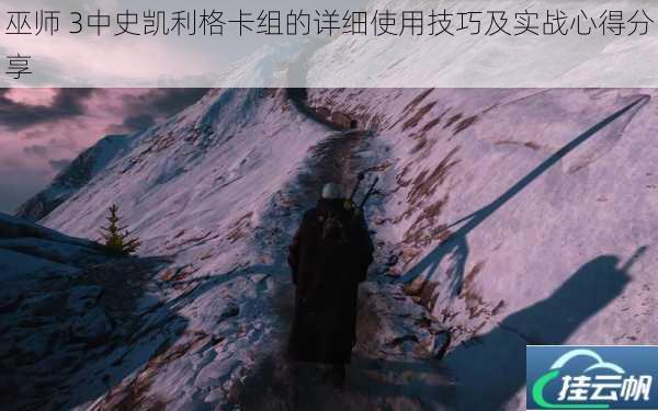 巫师 3中史凯利格卡组的详细使用技巧及实战心得分享