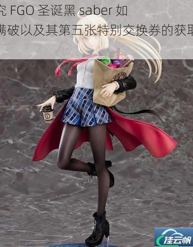 探究 FGO 圣诞黑 saber 如何满破以及其第五张特别交换券的获取地点