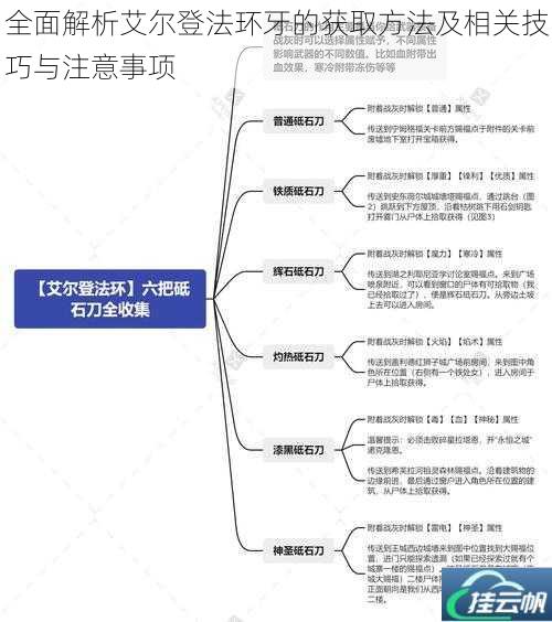 全面解析艾尔登法环牙的获取方法及相关技巧与注意事项