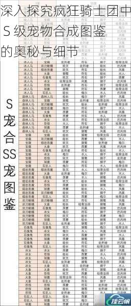 深入探究疯狂骑士团中 S 级宠物合成图鉴的奥秘与细节