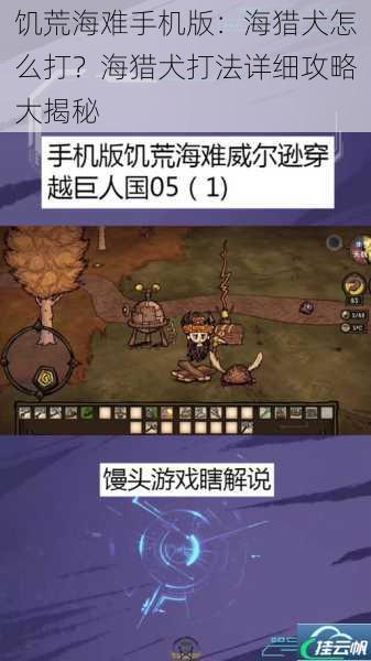 饥荒海难手机版:海猎犬怎么打?海猎犬打法详细攻略大揭秘