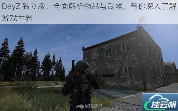 DayZ 独立版:全面解析物品与武器,带你深入了解游戏世界