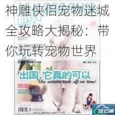 神雕侠侣宠物迷城全攻略大揭秘:带你玩转宠物世界