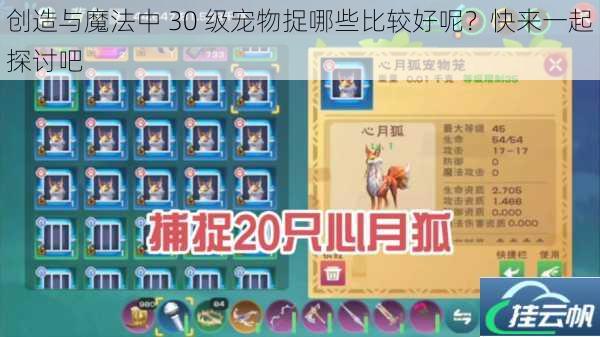 创造与魔法中 30 级宠物捉哪些比较好呢?快来一起探讨吧