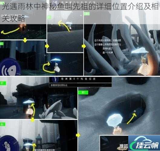 光遇雨林中神秘鱼叫先祖的详细位置介绍及相关攻略