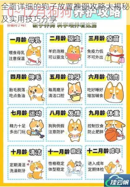 全面详细的狗子放置推图攻略大揭秘及实用技巧分享