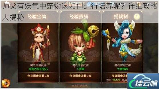 师父有妖气中宠物该如何进行培养呢?详细攻略大揭秘