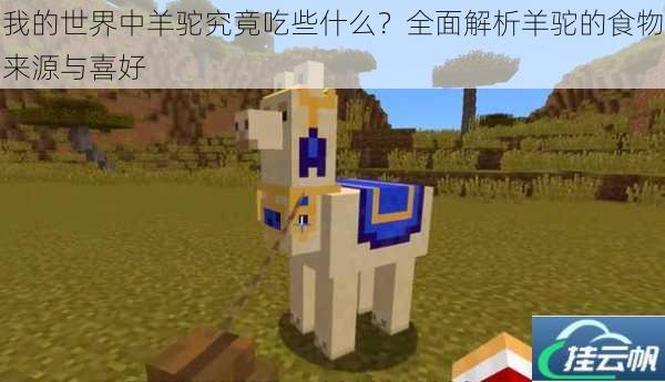 我的世界中羊驼究竟吃些什么?全面解析羊驼的食物来源与喜好