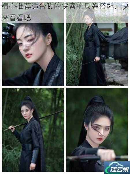 精心推荐适合我的侠客的反弹搭配,快来看看吧