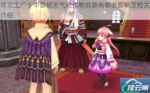 符文工厂 5 中鲁妮天气对作物究竟有哪些影响及相关介绍