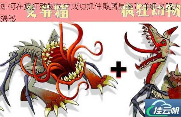 如何在疯狂动物园中成功抓住麒麟星座?详细攻略大揭秘