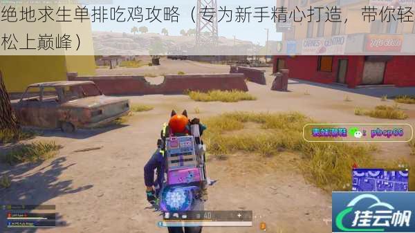 绝地求生单排吃鸡攻略(专为新手精心打造,带你轻松上巅峰)