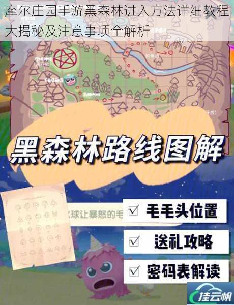 摩尔庄园手游黑森林进入方法详细教程大揭秘及注意事项全解析