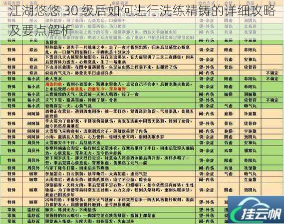 江湖悠悠 30 级后如何进行洗练精铸的详细攻略及要点解析