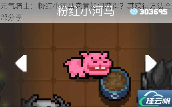 元气骑士:粉红小河马究竟如何获得?其获得方法全部分享