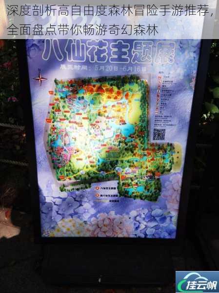 深度剖析高自由度森林冒险手游推荐,全面盘点带你畅游奇幻森林