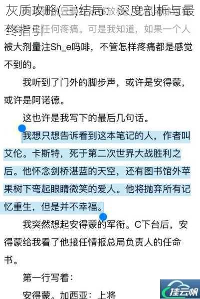 灰质攻略(三)结局:深度剖析与最终指引
