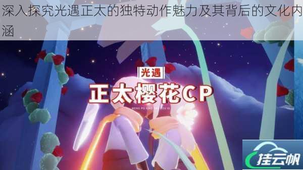 深入探究光遇正太的独特动作魅力及其背后的文化内涵