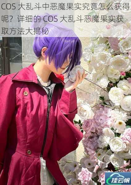 COS 大乱斗中恶魔果实究竟怎么获得呢?详细的 COS 大乱斗恶魔果实获取方法大揭秘