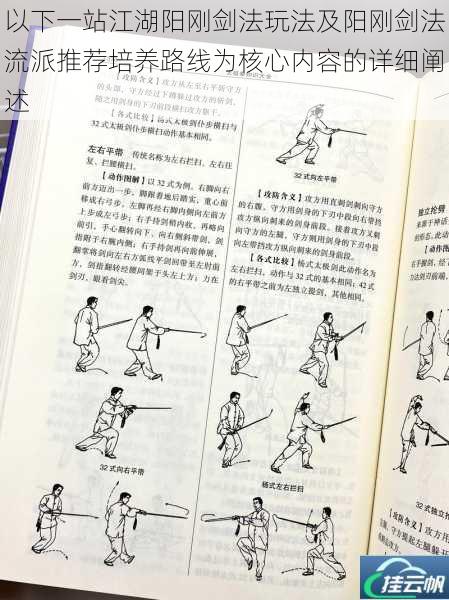 以下一站江湖阳刚剑法玩法及阳刚剑法流派推荐培养路线为核心内容的详细阐述