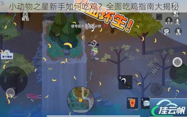 小动物之星新手如何吃鸡?全面吃鸡指南大揭秘