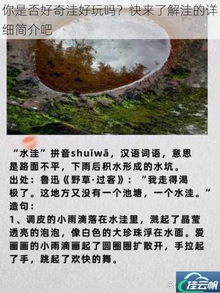 你是否好奇洼好玩吗?快来了解洼的详细简介吧