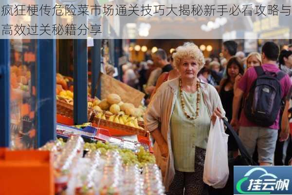 疯狂梗传危险菜市场通关技巧大揭秘新手必看攻略与高效过关秘籍分享