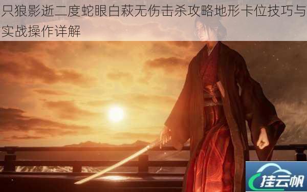 只狼影逝二度蛇眼白萩无伤击杀攻略地形卡位技巧与实战操作详解