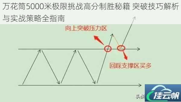 万花筒5000米极限挑战高分制胜秘籍 突破技巧解析与实战策略全指南