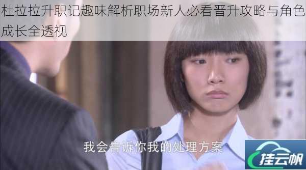 杜拉拉升职记趣味解析职场新人必看晋升攻略与角色成长全透视