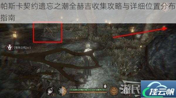 帕斯卡契约遗忘之潮全赫吉收集攻略与详细位置分布指南
