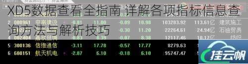 XD5数据查看全指南 详解各项指标信息查询方法与解析技巧