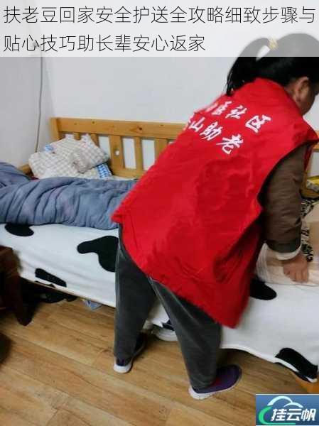 扶老豆回家安全护送全攻略细致步骤与贴心技巧助长辈安心返家