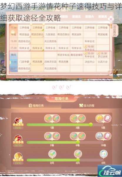 梦幻西游手游情花种子速得技巧与详细获取途径全攻略