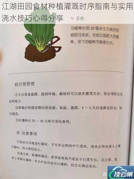 江湖田园食材种植灌溉时序指南与实用浇水技巧心得分享