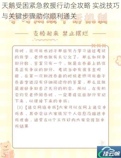 天鹅受困紧急救援行动全攻略 实战技巧与关键步骤助你顺利通关