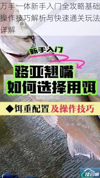 万手一体新手入门全攻略基础操作技巧解析与快速通关玩法详解