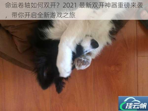 命运卷轴如何双开?2021 最新双开神器重磅来袭,带你开启全新游戏之旅