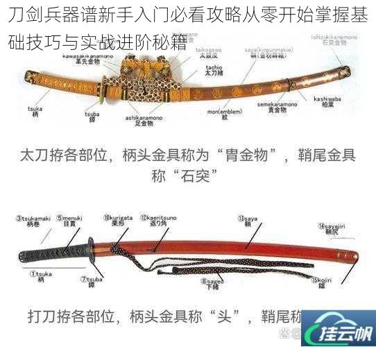 刀剑兵器谱新手入门必看攻略从零开始掌握基础技巧与实战进阶秘籍