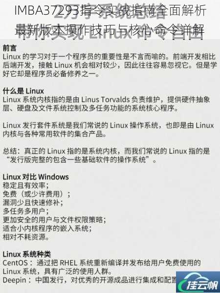 IMBA37293指令实战指南全面解析最新版本操作技巧与核心命令详解
